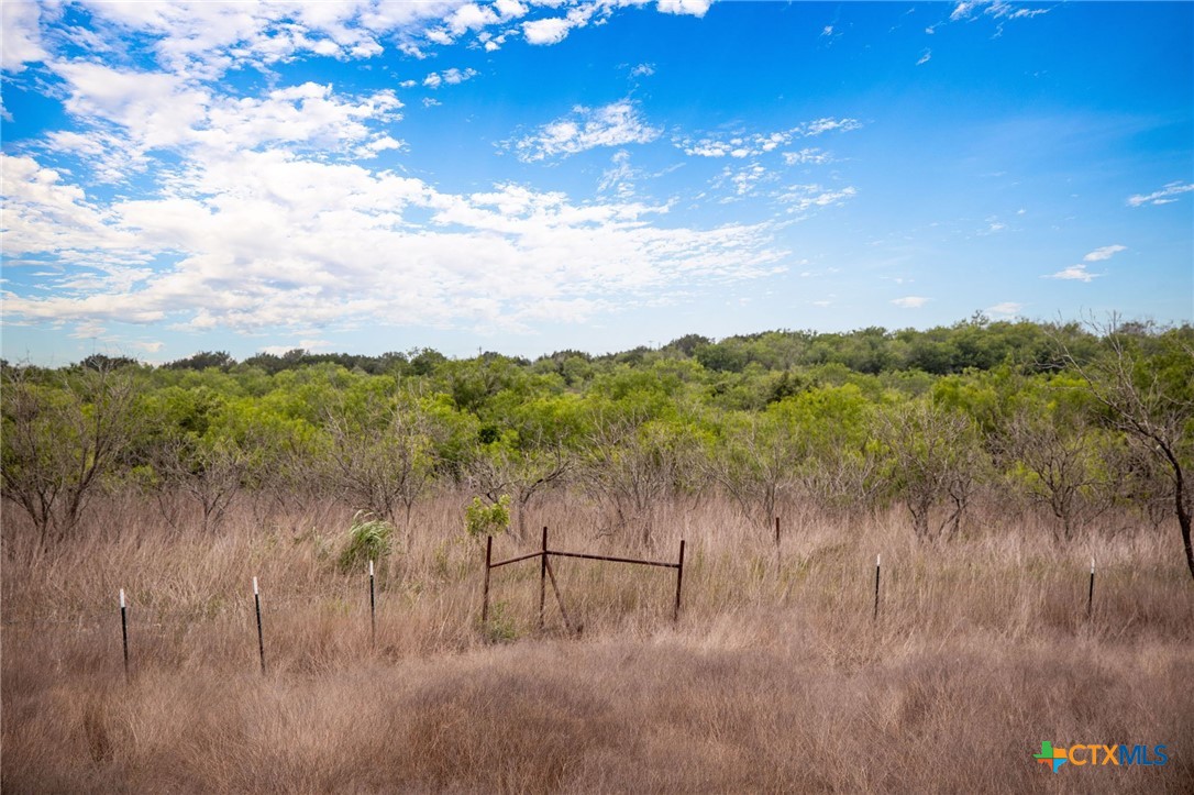 2811 Harris Hill Road, San Marcos, TX, 78666 | 582810 | Realty Texas LLC