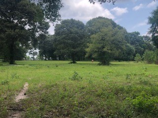 000 Counts Road, Point Blank, TX, 77364 | 64450724 | Realty Texas LLC