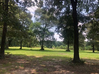 000 Counts Road, Point Blank, TX, 77364 | 64450724 | Realty Texas LLC