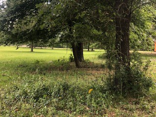 000 Counts Road, Point Blank, TX, 77364 | 64450724 | Realty Texas LLC