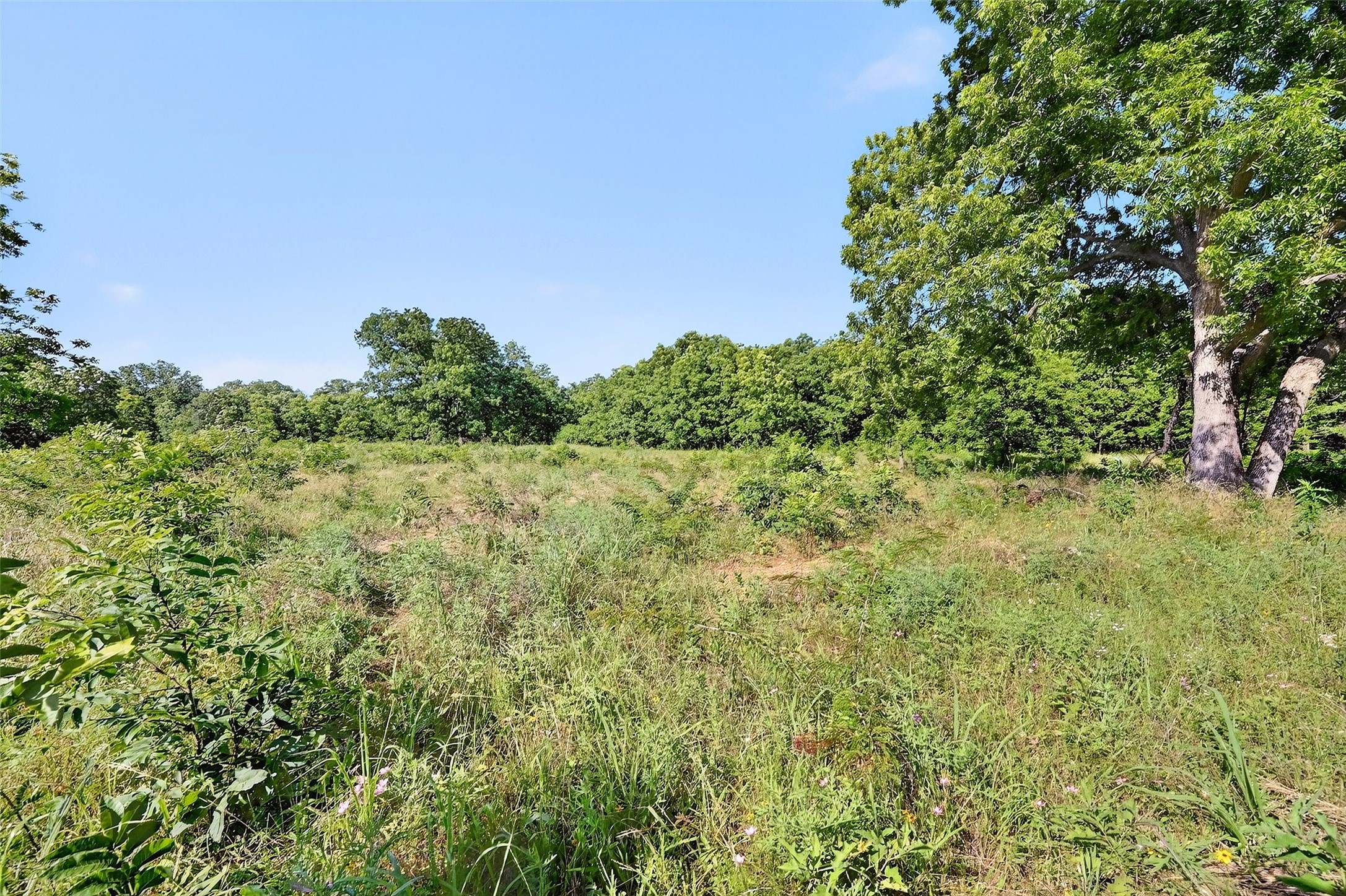 000 Fm-2383, Whitesboro, TX, 76273 | 20979793 | Realty Texas LLC