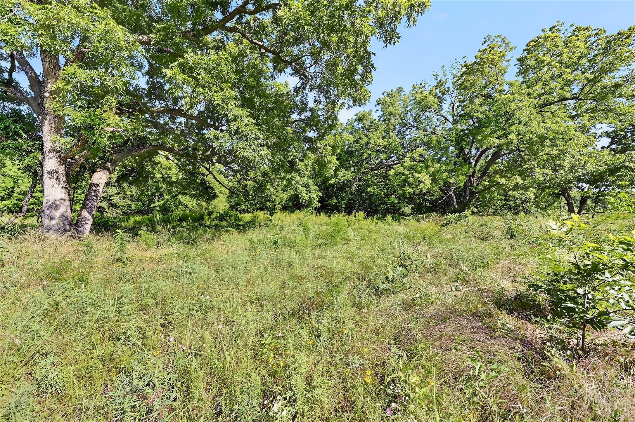 000 Fm-2383, Whitesboro, TX, 76273 | 20979793 | Realty Texas LLC