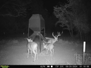 000 Fm-2383, Whitesboro, TX, 76273 | 20979793 | Realty Texas LLC