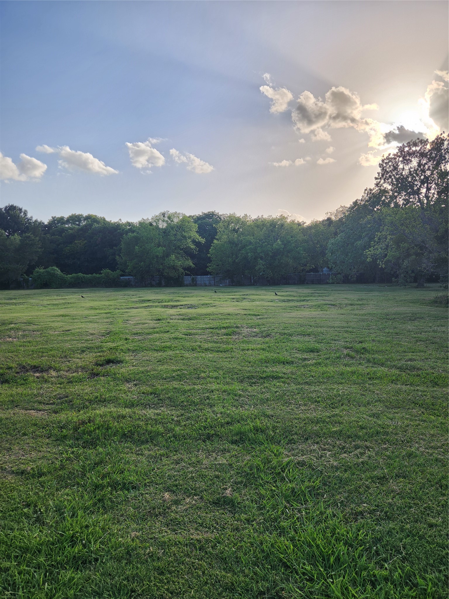 7913 Wayne Way, Rowlett, TX, 75088 | 20980256 | Realty Texas LLC