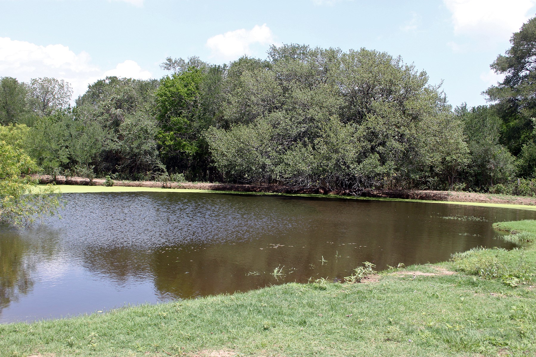 9411 FM 86 Highway, Lockhart, TX, 78644 | 3523845 | Realty Texas LLC
