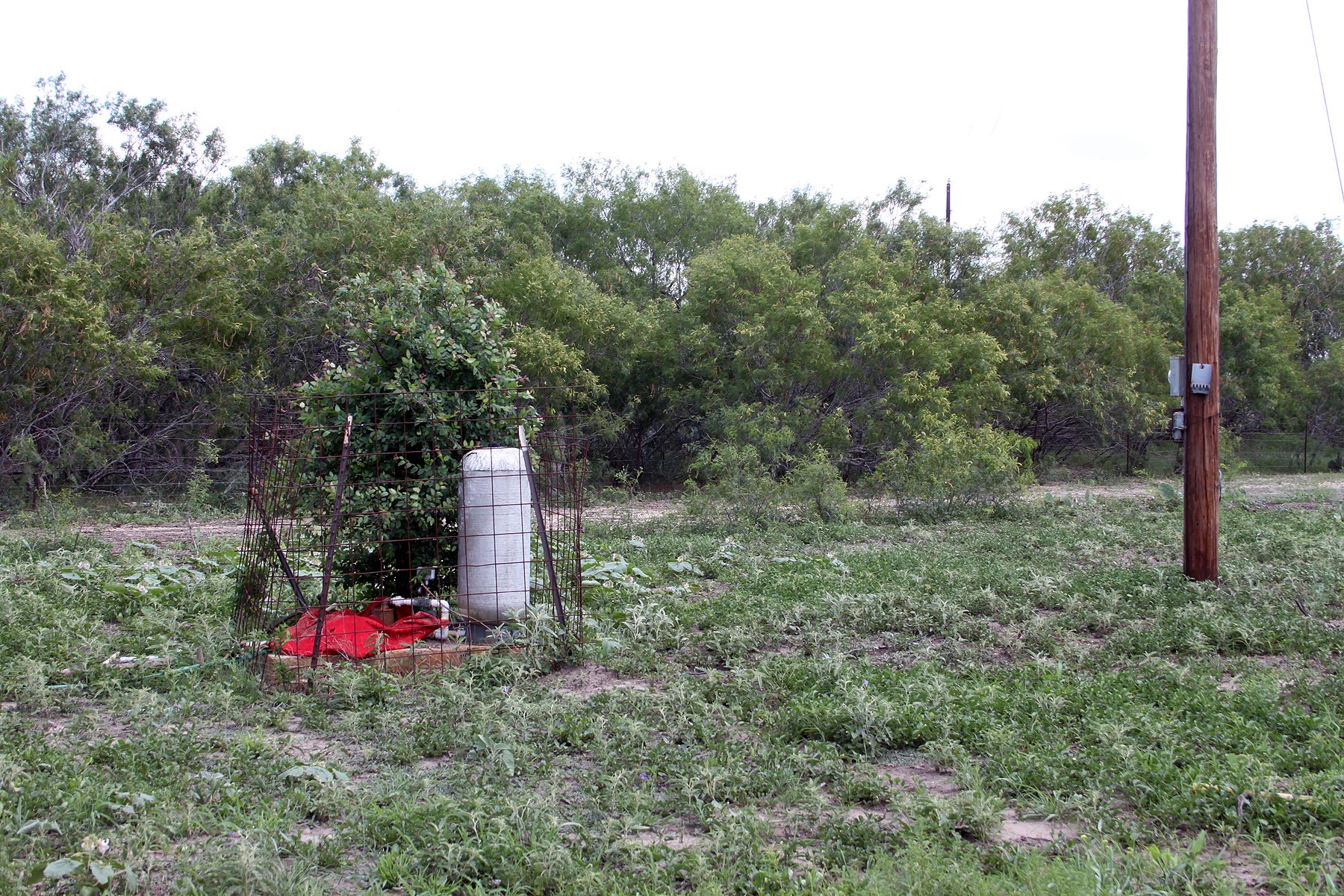 9411 FM 86 Highway, Lockhart, TX, 78644 | 3523845 | Realty Texas LLC