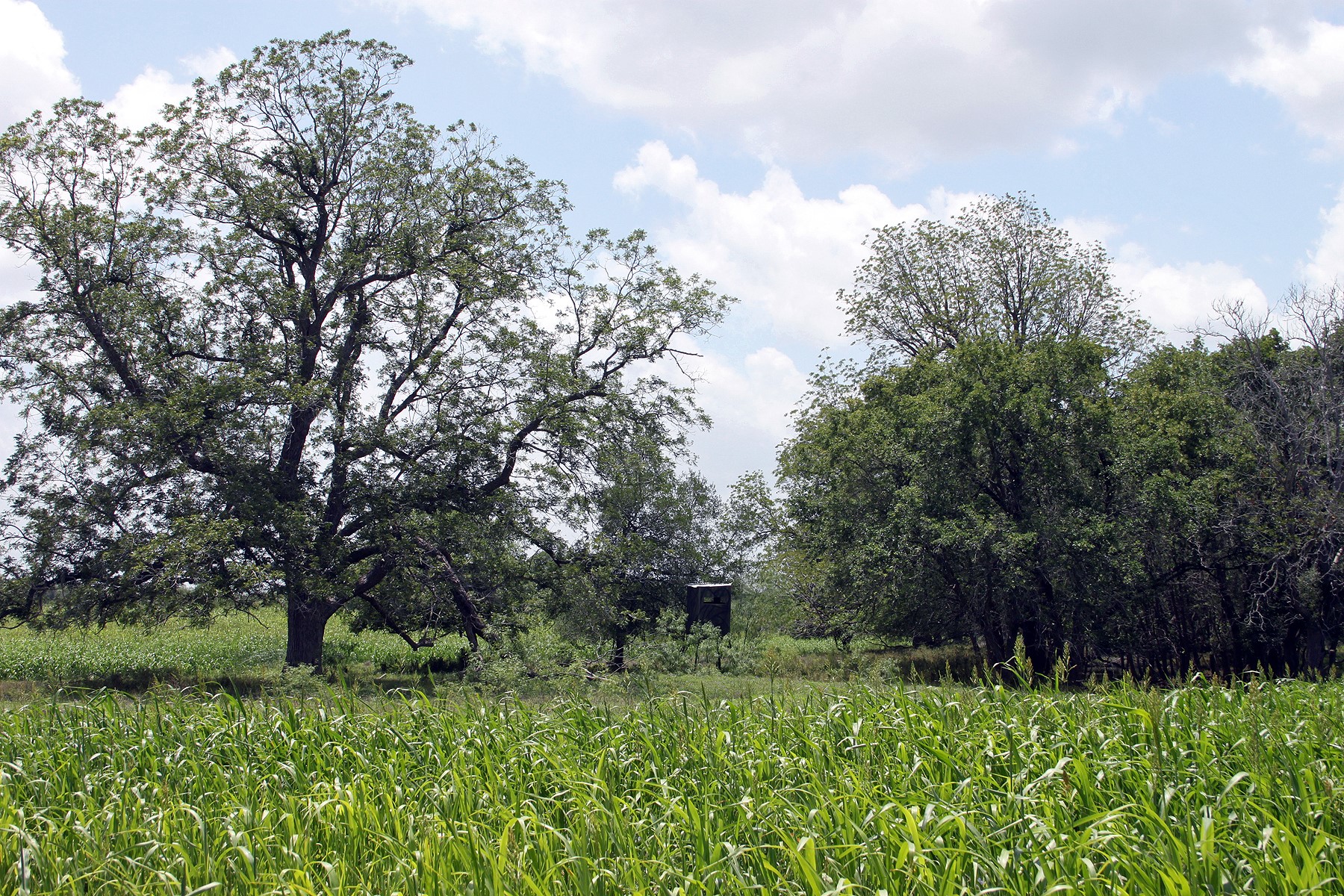 9411 FM 86 Highway, Lockhart, TX, 78644 | 3523845 | Realty Texas LLC