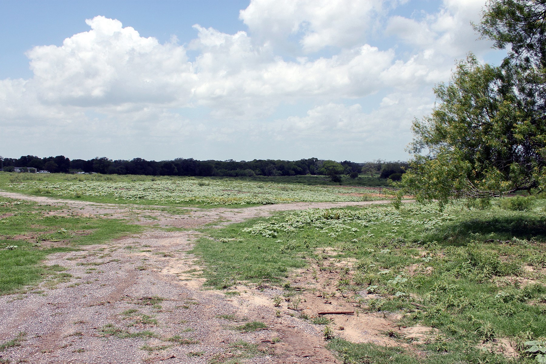 9411 FM 86 Highway, Lockhart, TX, 78644 | 3523845 | Realty Texas LLC