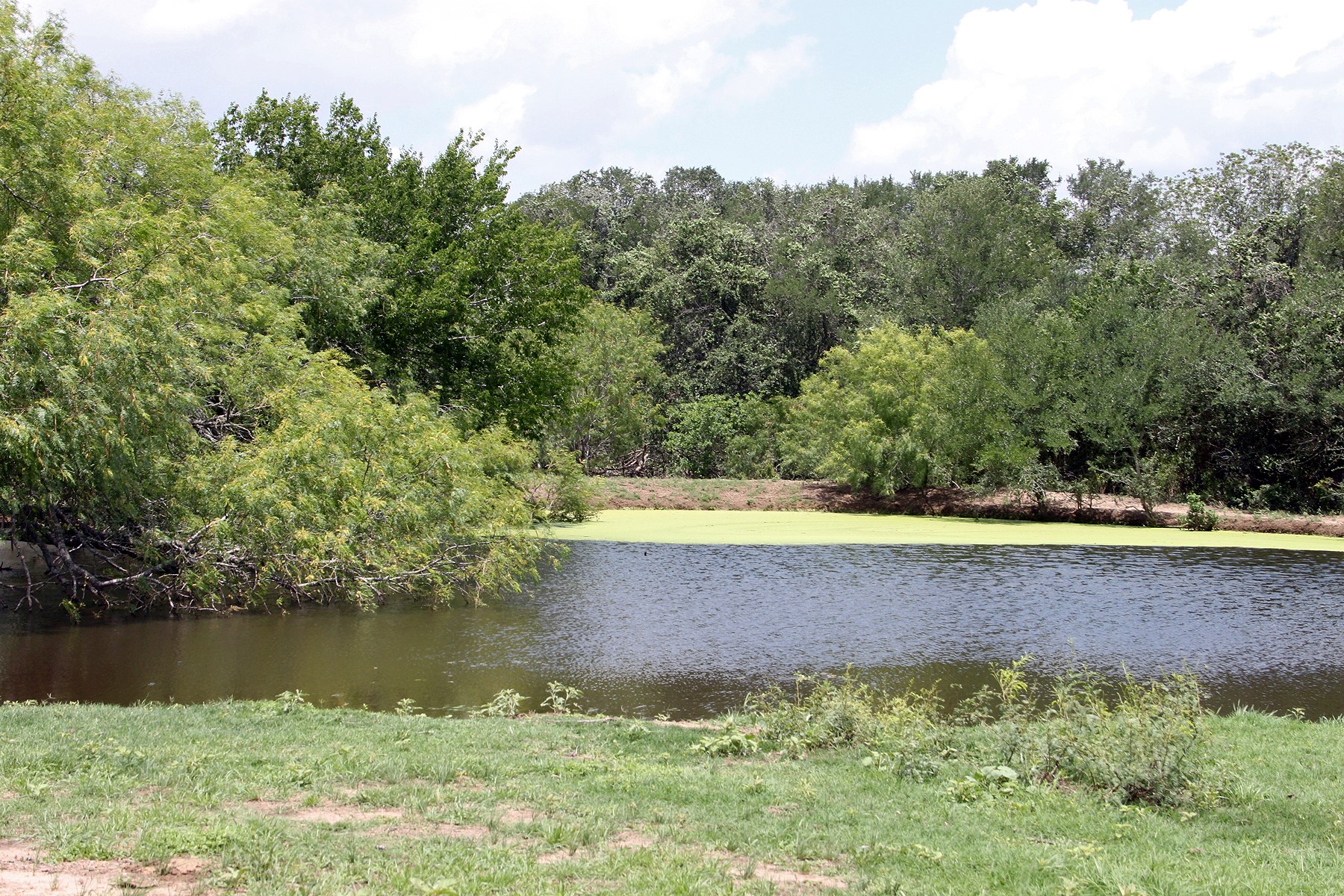9411 FM 86 Highway, Lockhart, TX, 78644 | 3523845 | Realty Texas LLC
