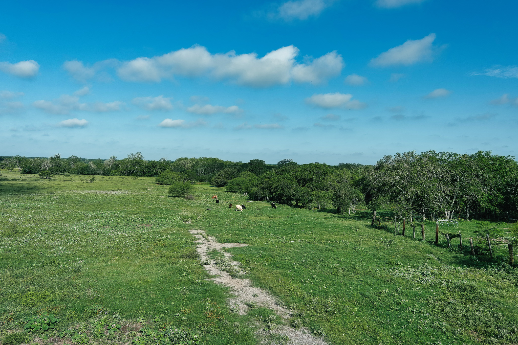 9411 FM 86 Highway, Lockhart, TX, 78644 | 3523845 | Realty Texas LLC