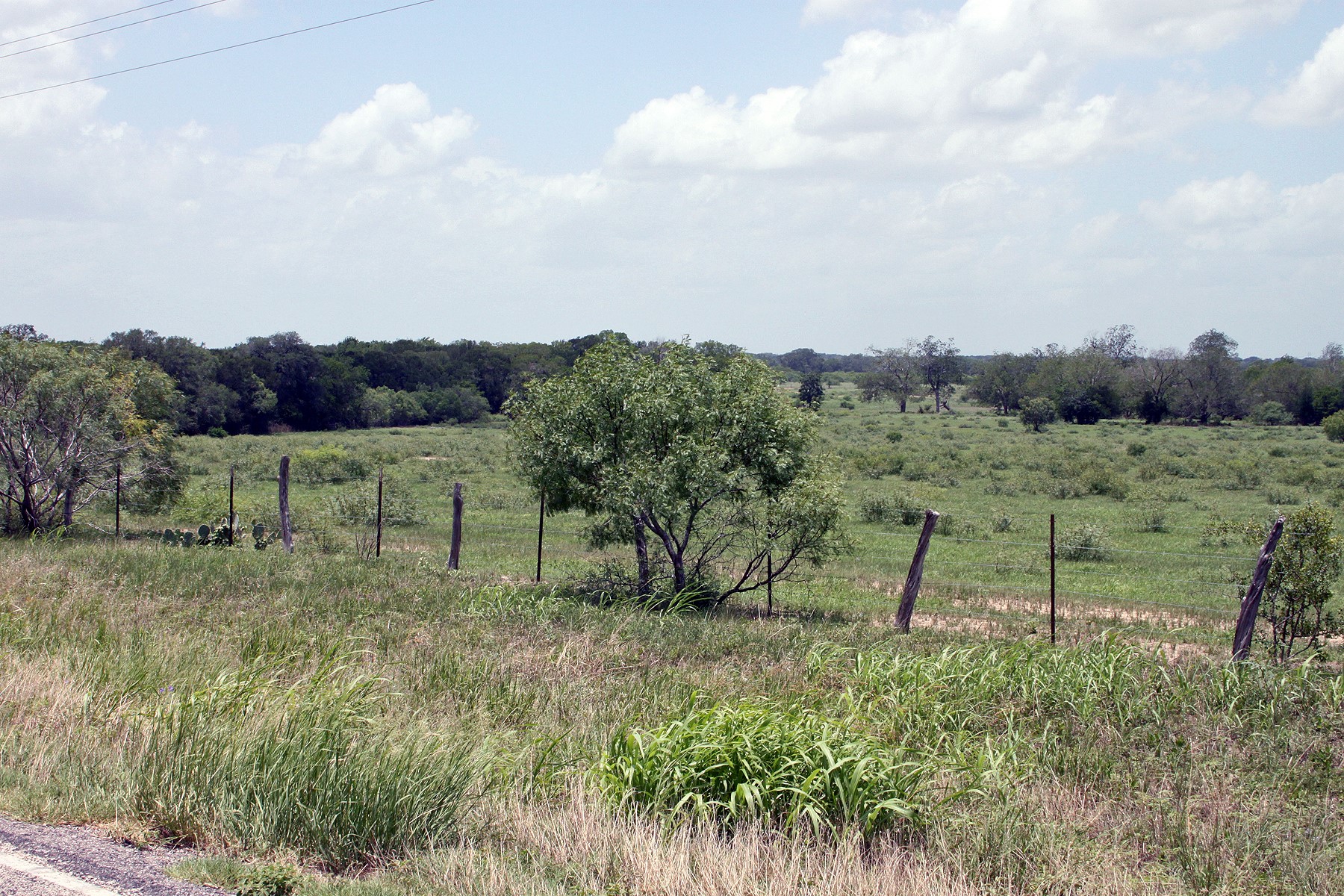 9411 FM 86 Highway, Lockhart, TX, 78644 | 3523845 | Realty Texas LLC