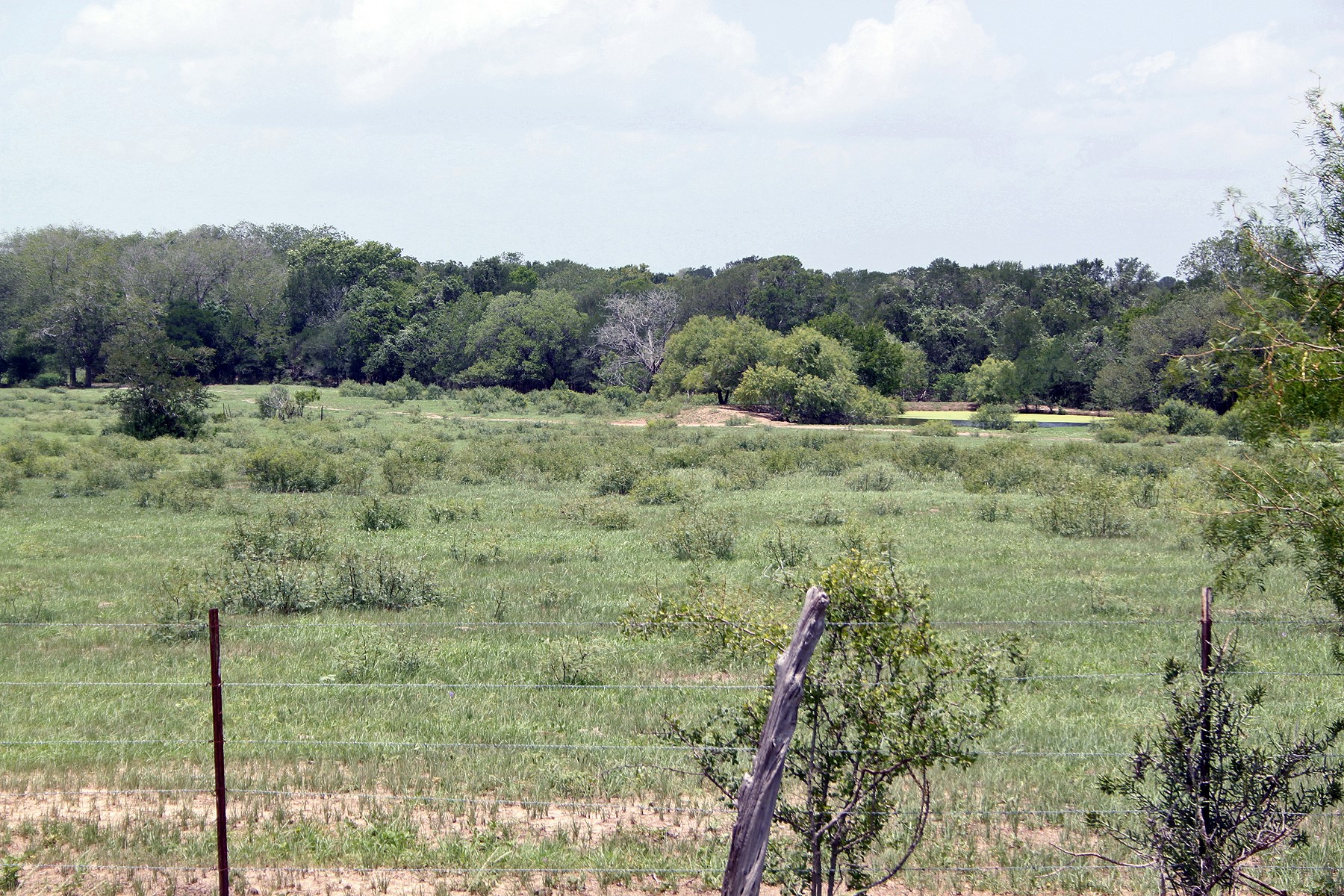 9411 FM 86 Highway, Lockhart, TX, 78644 | 3523845 | Realty Texas LLC