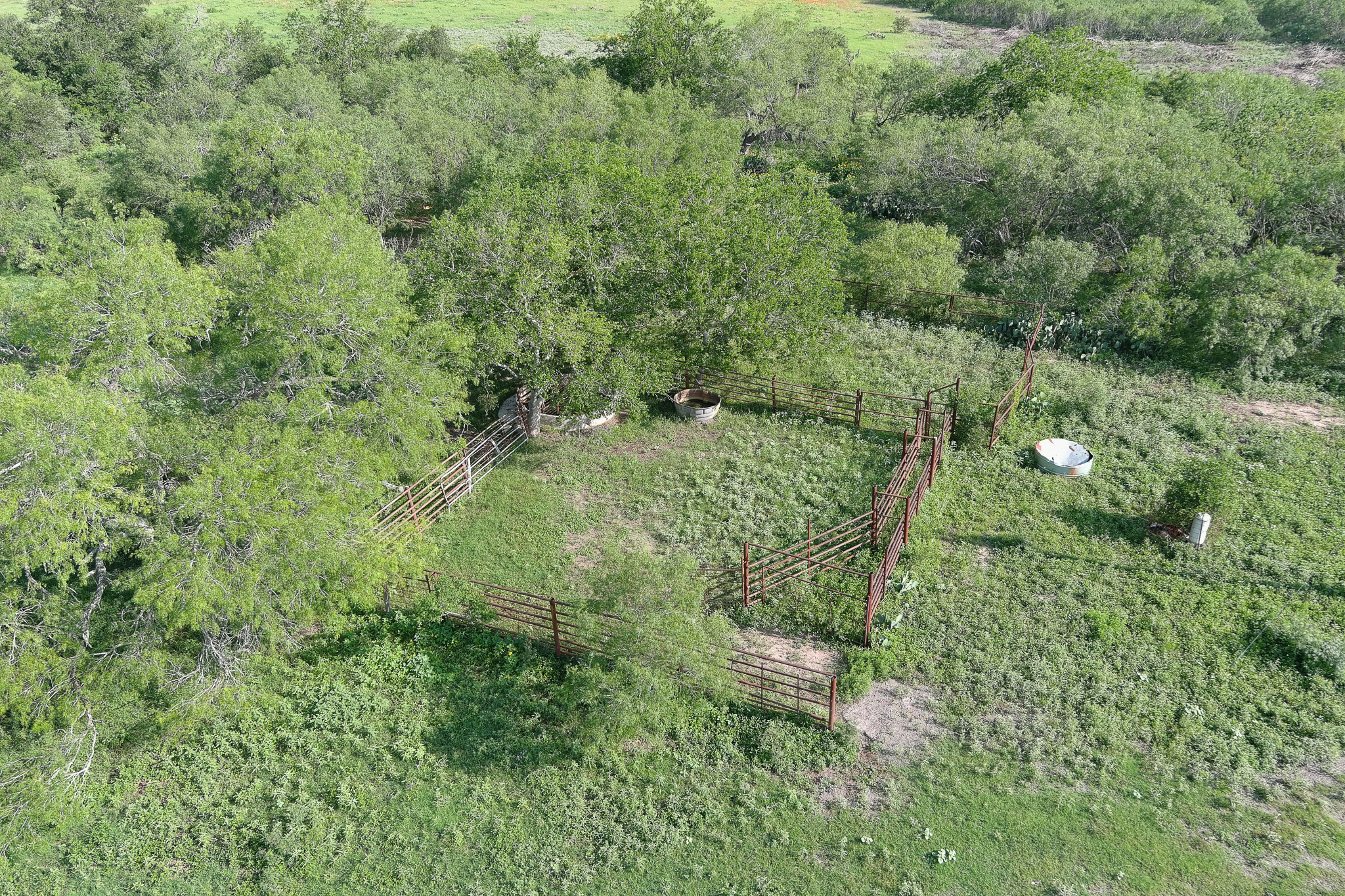 9411 FM 86 Highway, Lockhart, TX, 78644 | 3523845 | Realty Texas LLC