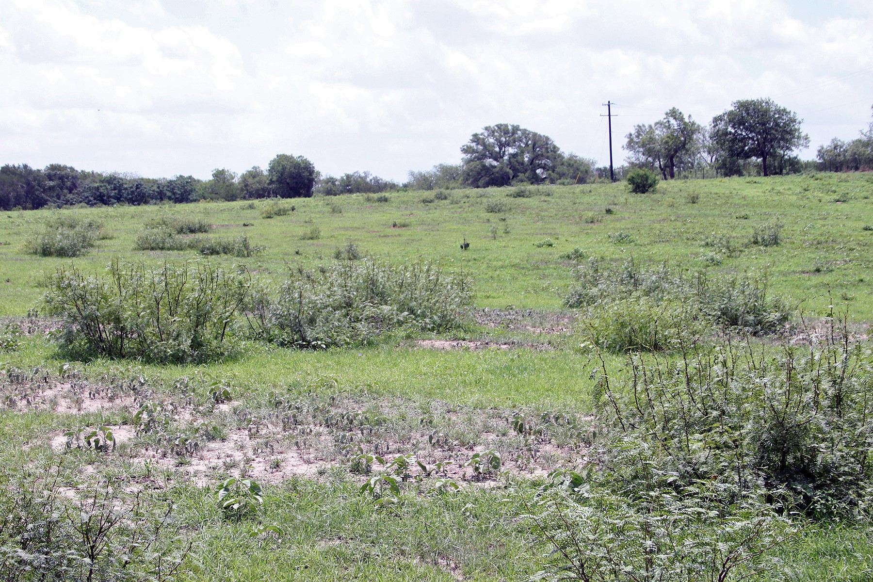 9411 FM 86 Highway, Lockhart, TX, 78644 | 3523845 | Realty Texas LLC
