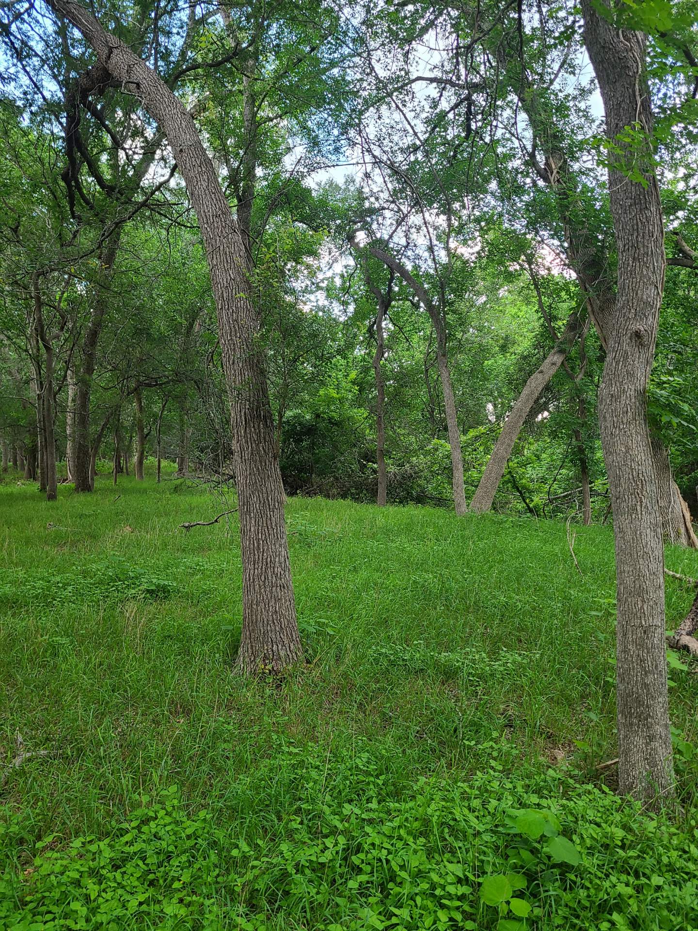 9411 FM 86 Highway, Lockhart, TX, 78644 | 3523845 | Realty Texas LLC