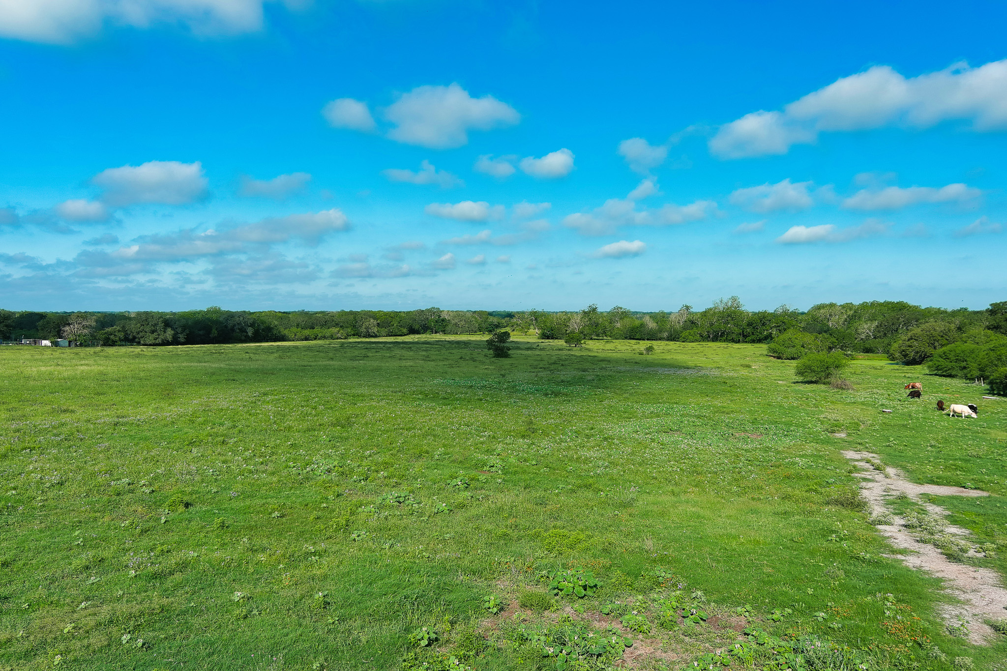 9411 FM 86 Highway, Lockhart, TX, 78644 | 3523845 | Realty Texas LLC