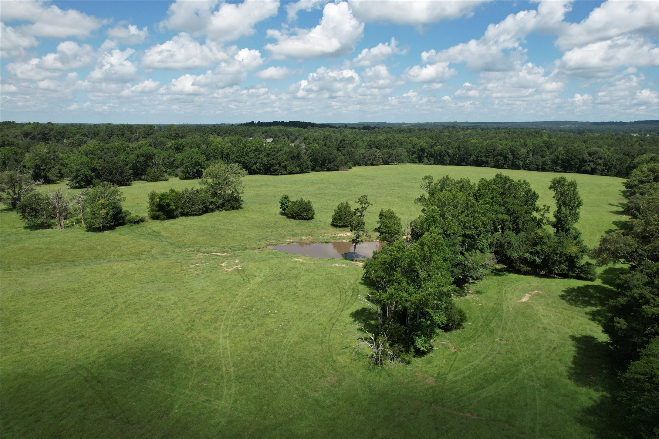 219 ACR 185, Elkhart, TX, 75839 | 96447444 | Realty Texas LLC