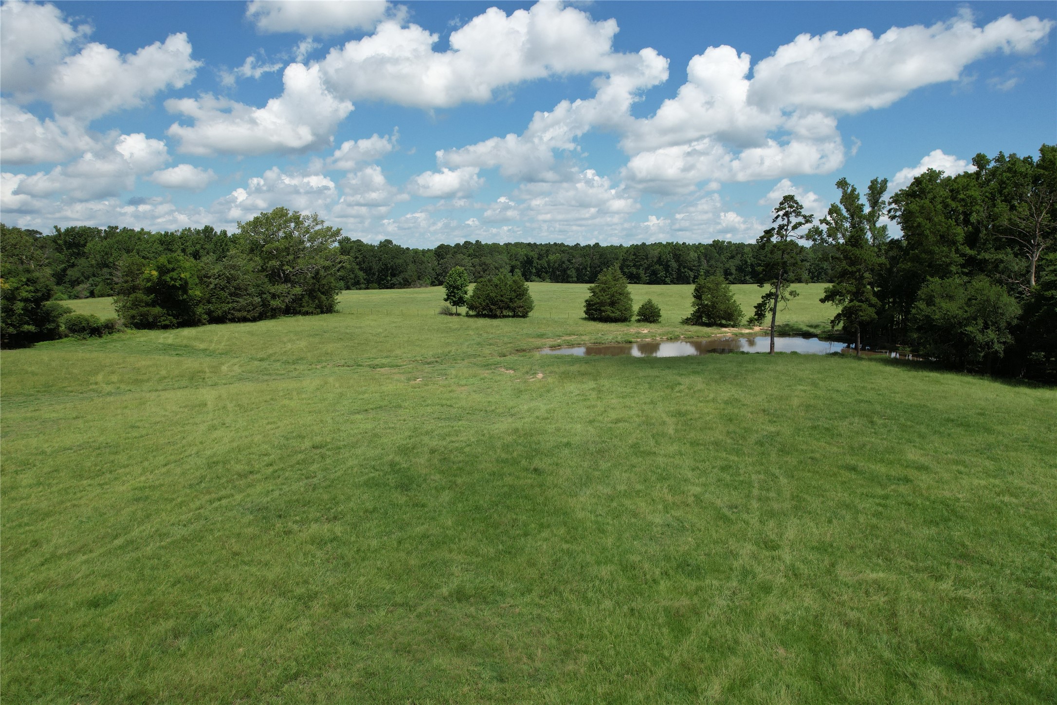 219 ACR 185, Elkhart, TX, 75839 | 96447444 | Realty Texas LLC
