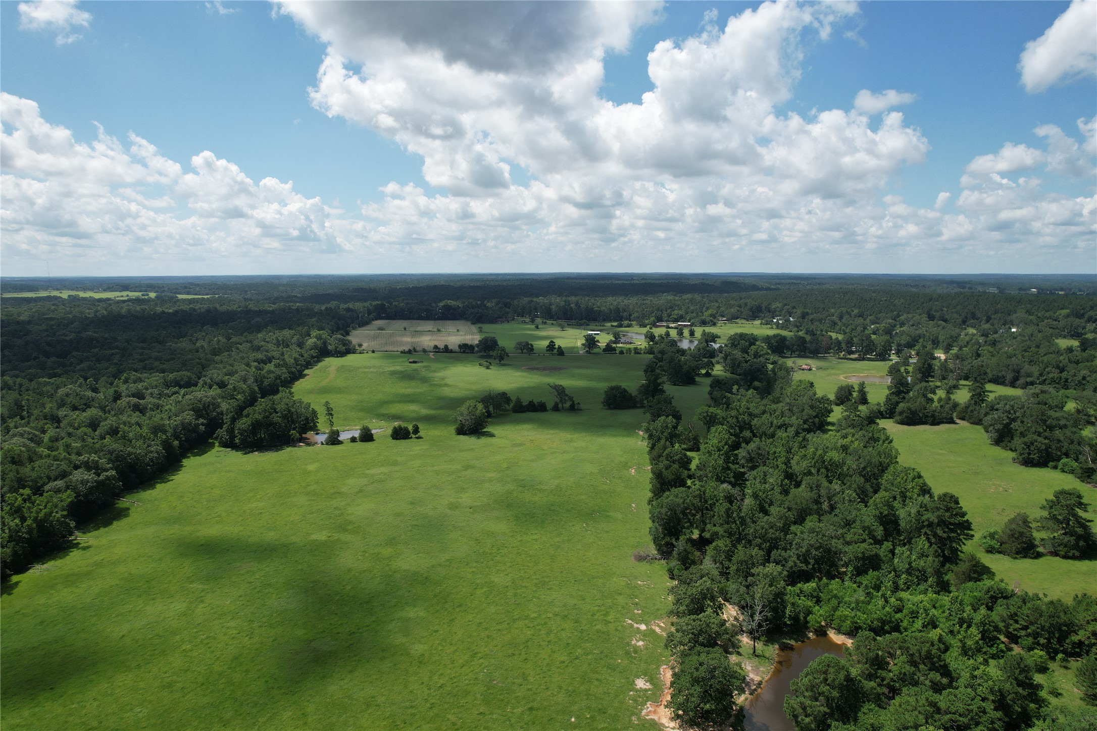 219 ACR 185, Elkhart, TX, 75839 | 96447444 | Realty Texas LLC