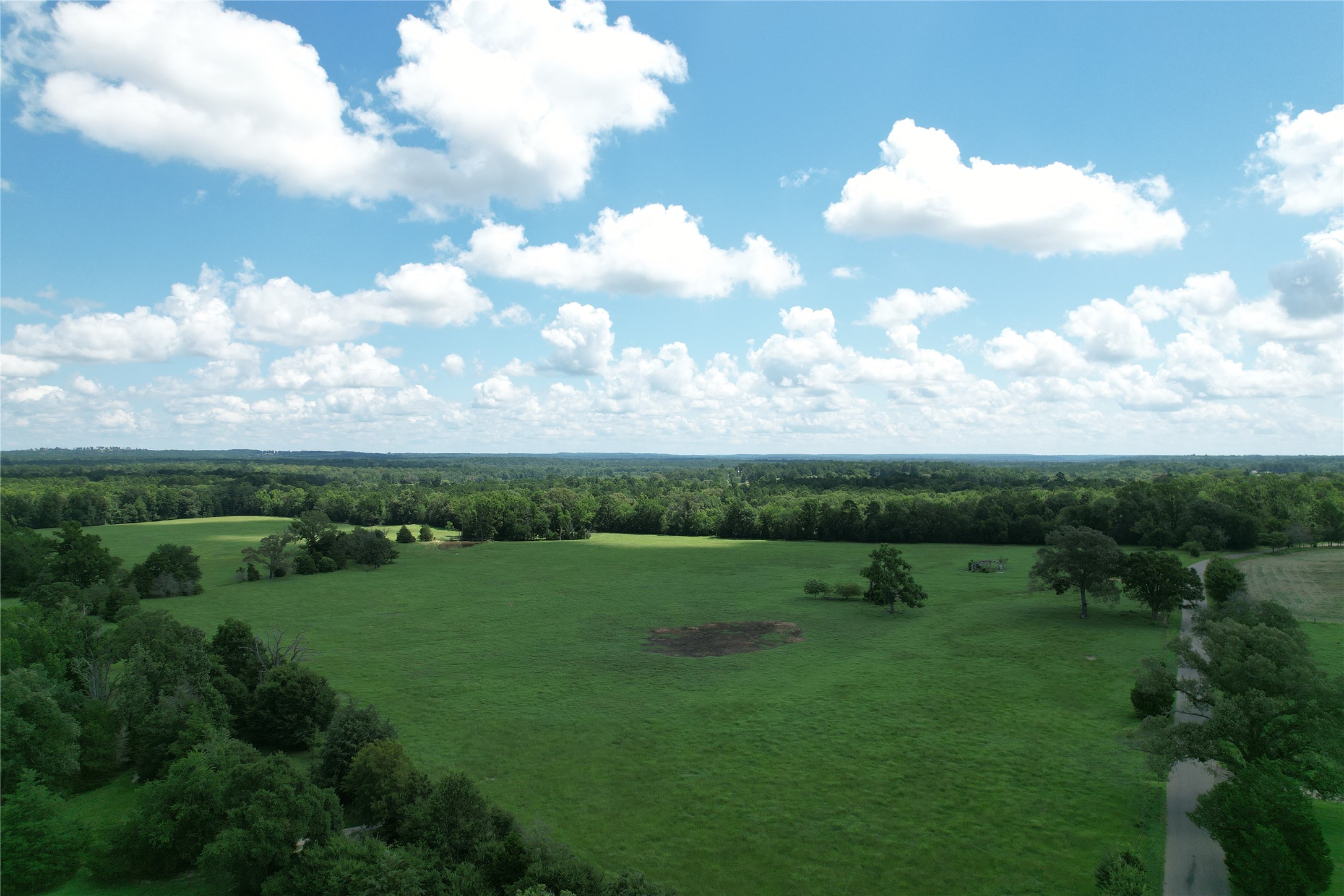 219 ACR 185, Elkhart, TX, 75839 | 96447444 | Realty Texas LLC