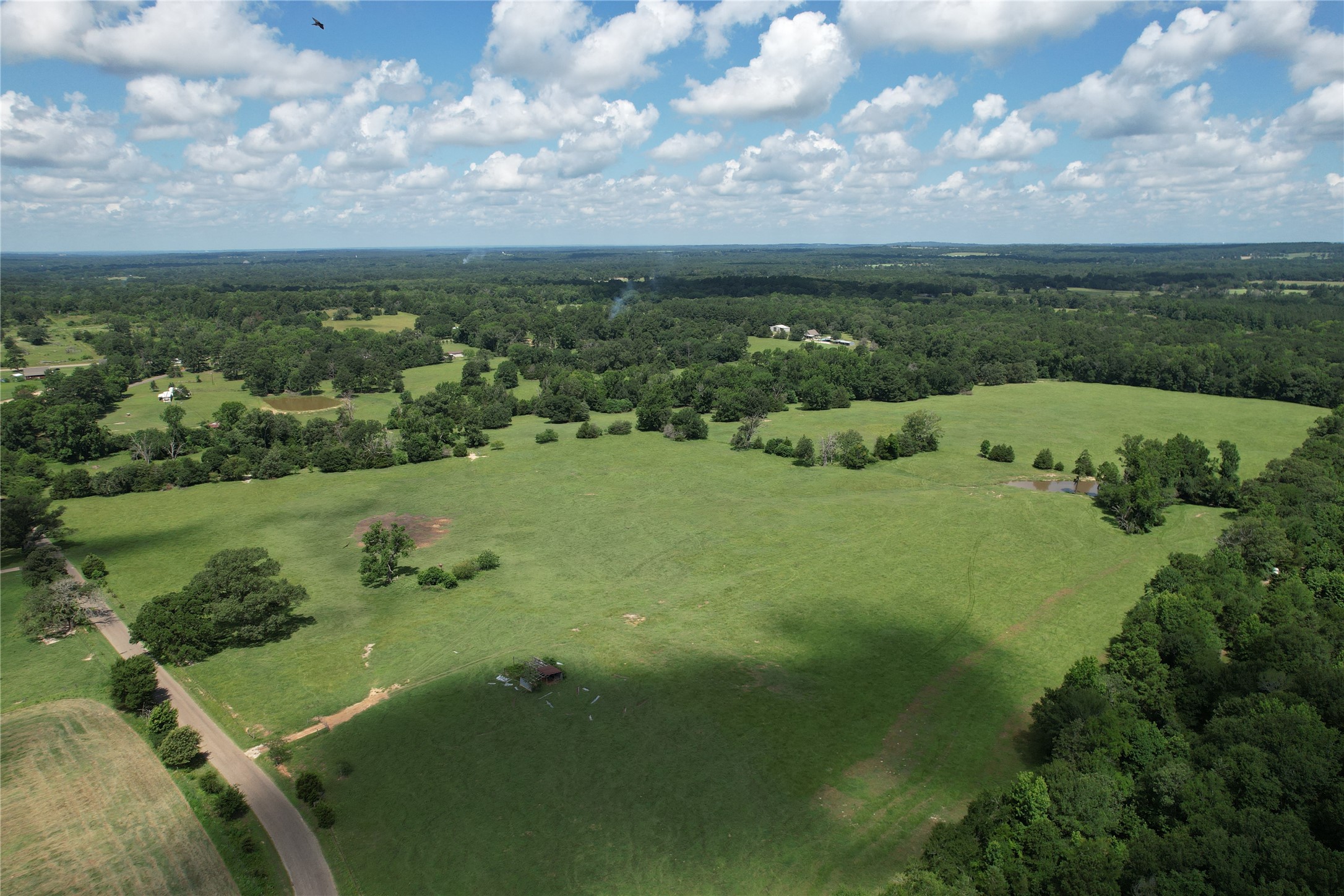 219 ACR 185, Elkhart, TX, 75839 | 96447444 | Realty Texas LLC