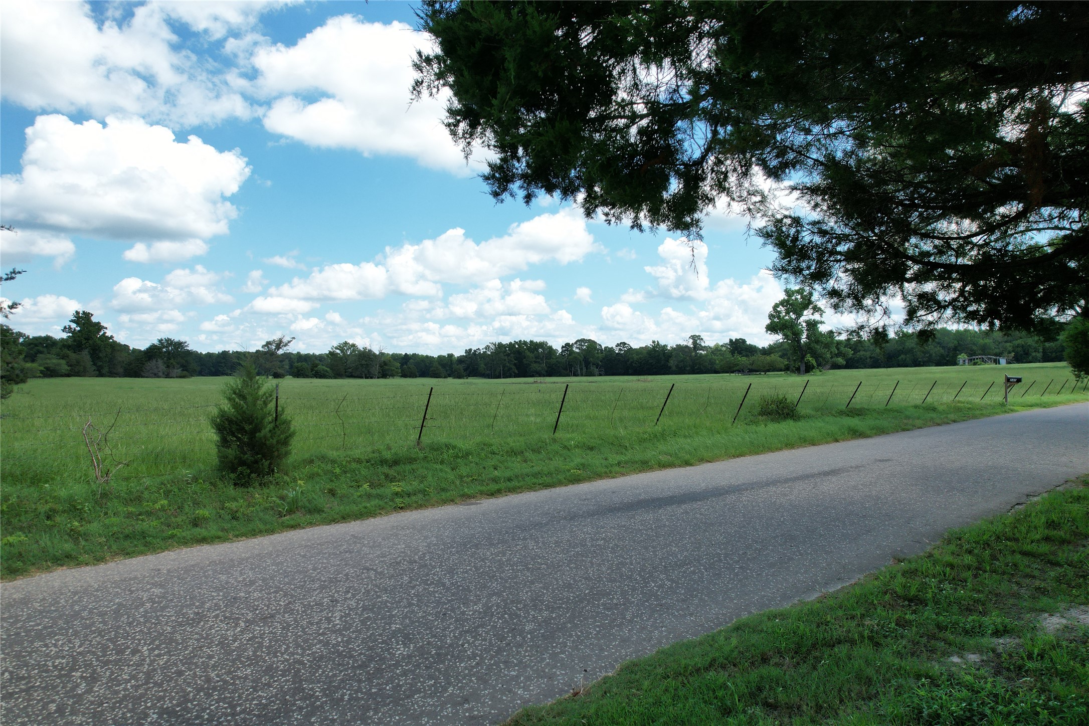 219 ACR 185, Elkhart, TX, 75839 | 96447444 | Realty Texas LLC