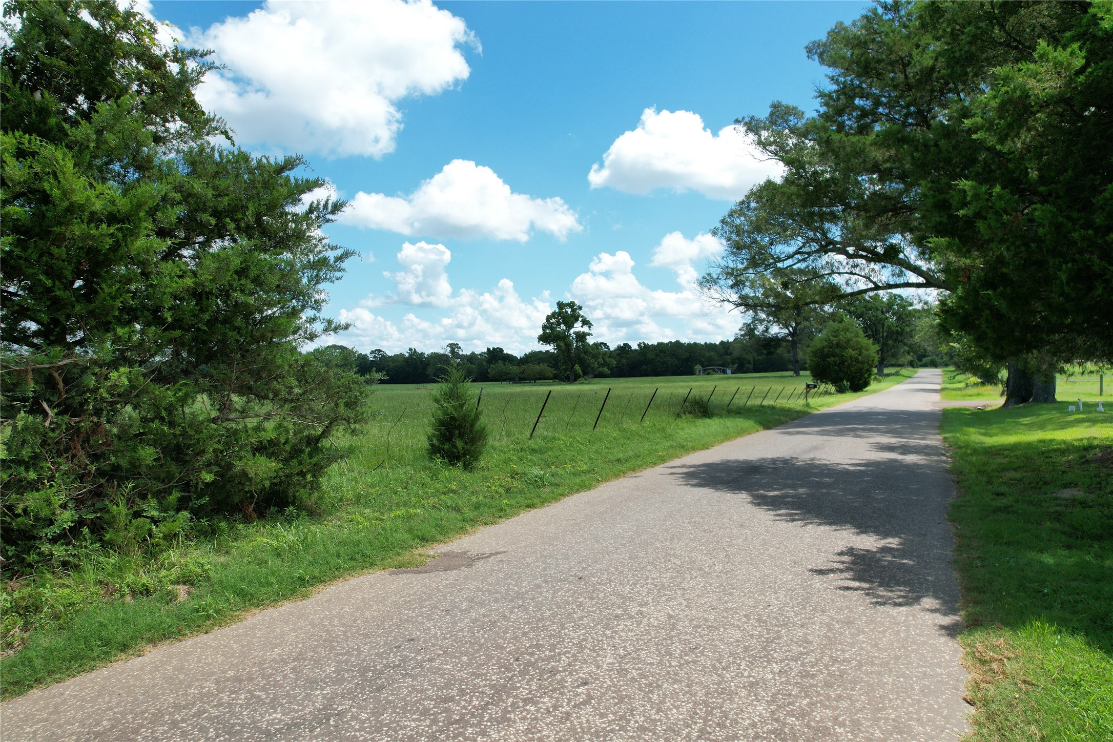 219 ACR 185, Elkhart, TX, 75839 | 96447444 | Realty Texas LLC