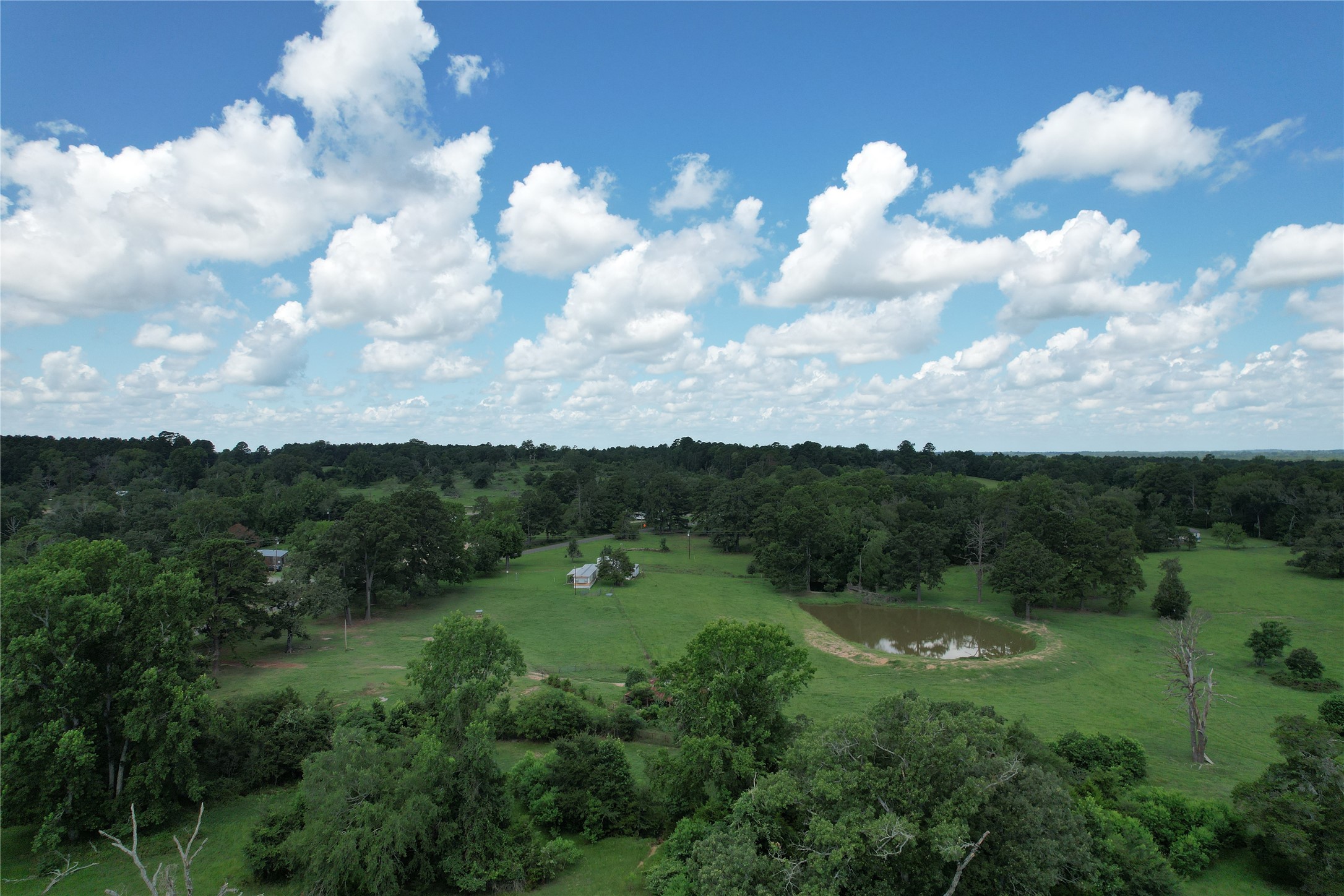 219 ACR 185, Elkhart, TX, 75839 | 96447444 | Realty Texas LLC