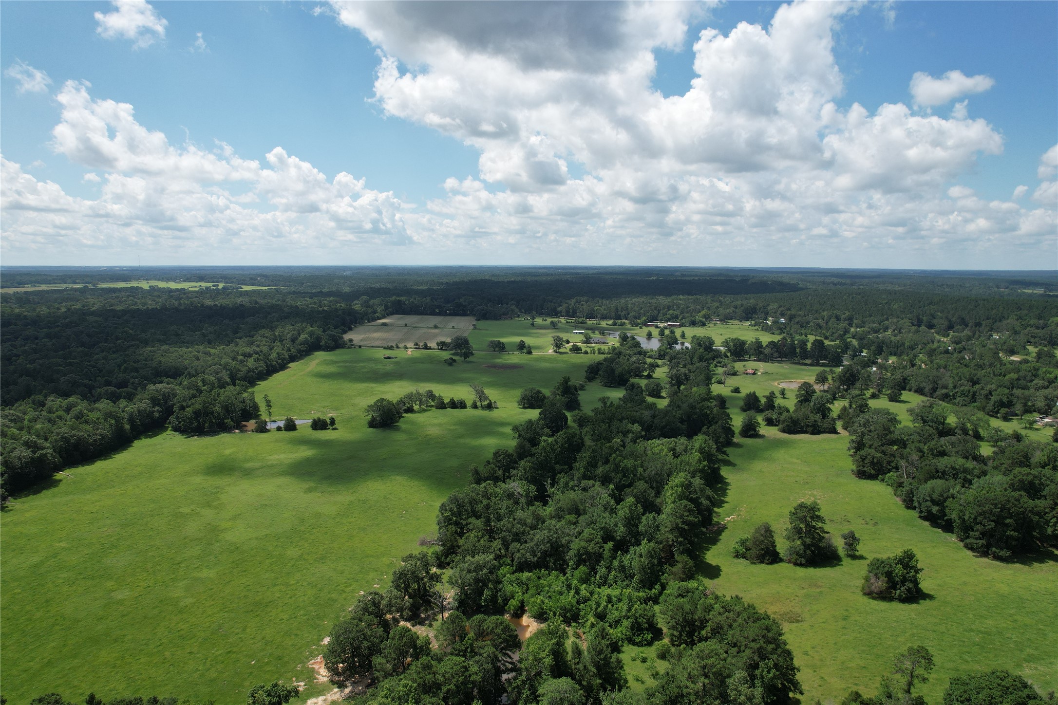 219 ACR 185, Elkhart, TX, 75839 | 96447444 | Realty Texas LLC