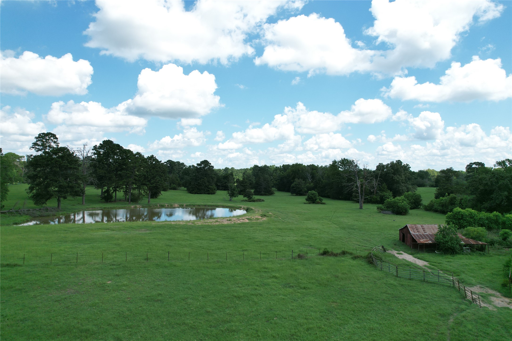 219 ACR 185, Elkhart, TX, 75839 | 96447444 | Realty Texas LLC