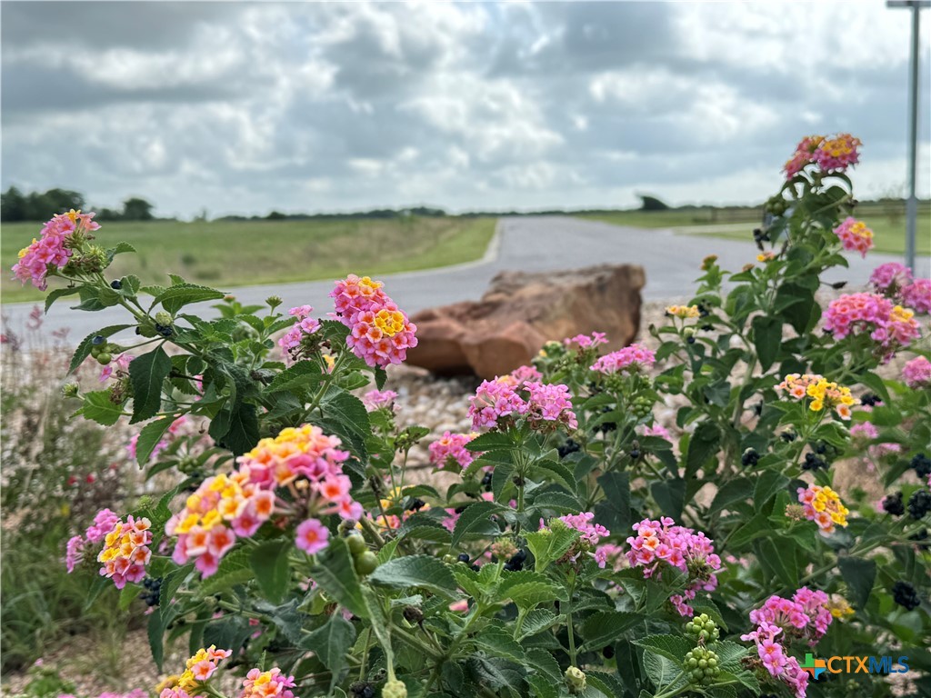 110 PR 711, Lott, TX, 76632 | 584680 | Realty Texas LLC