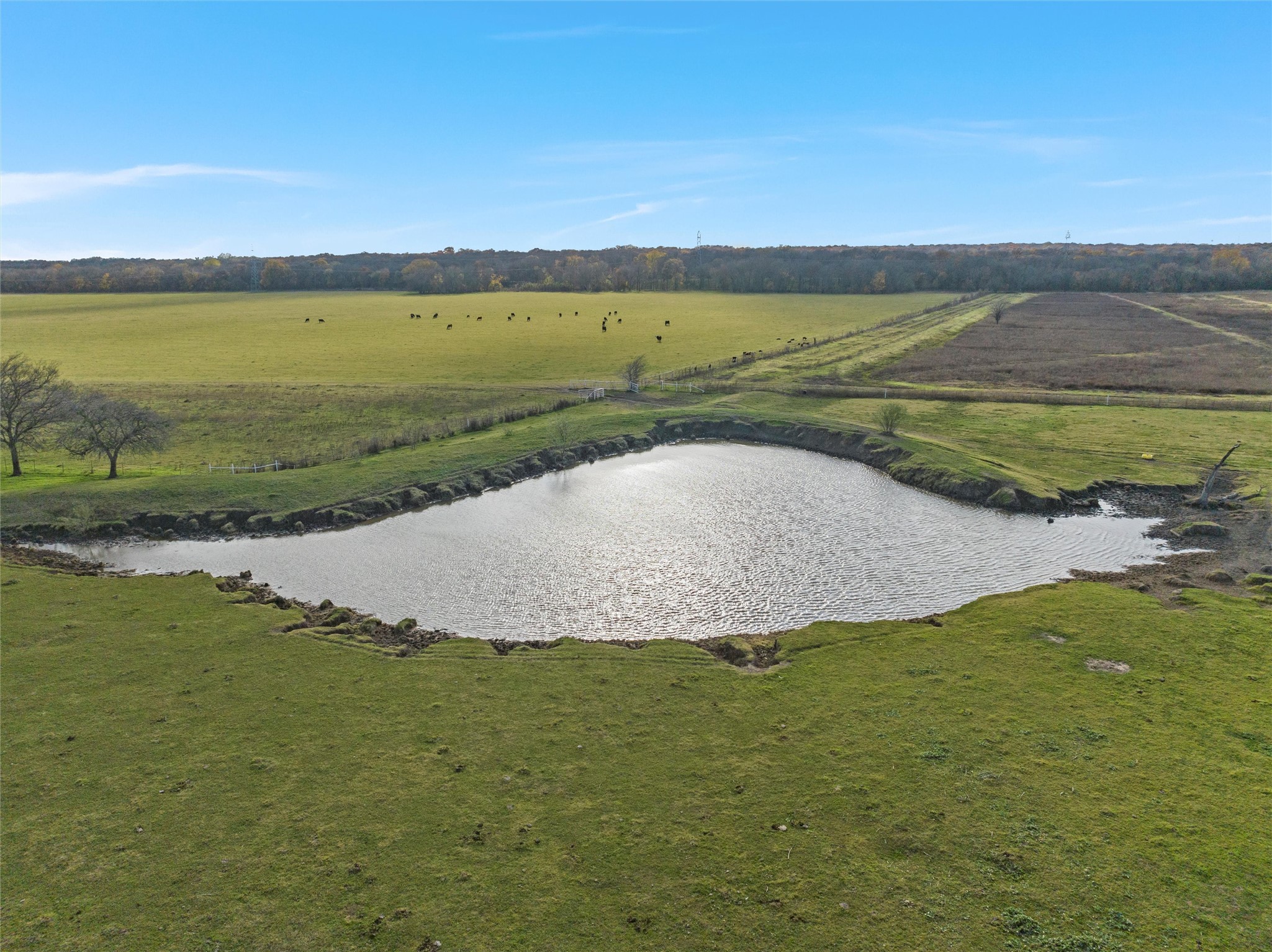 1170 Lumkins Road, Forreston, TX, 76041 | 20981386 | Realty Texas LLC