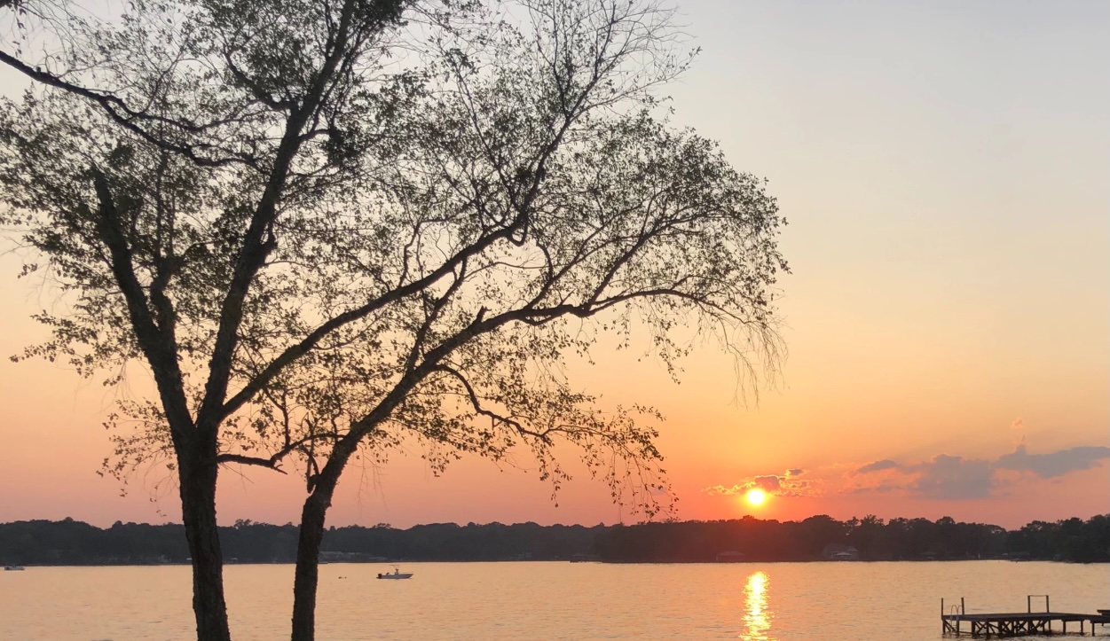 TBD Timber Grove, Murchison, TX, 75778 | 8551453 | Realty Texas LLC