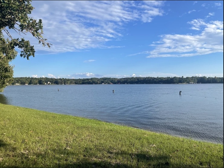 TBD Timber Grove, Murchison, TX, 75778 | 8551453 | Realty Texas LLC