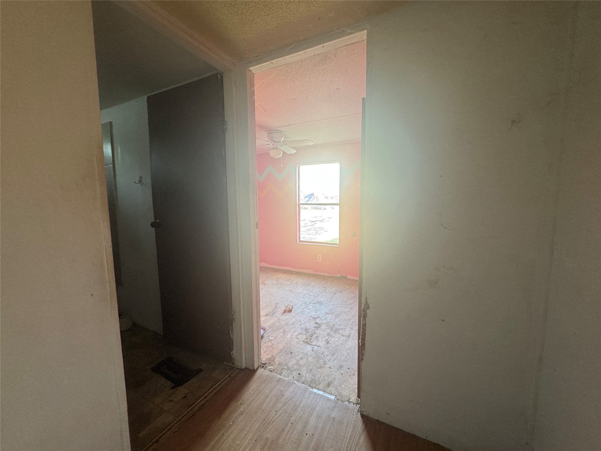 315 S Kennedy Street, Penelope, TX, 76676 | 20981915 | Realty Texas LLC