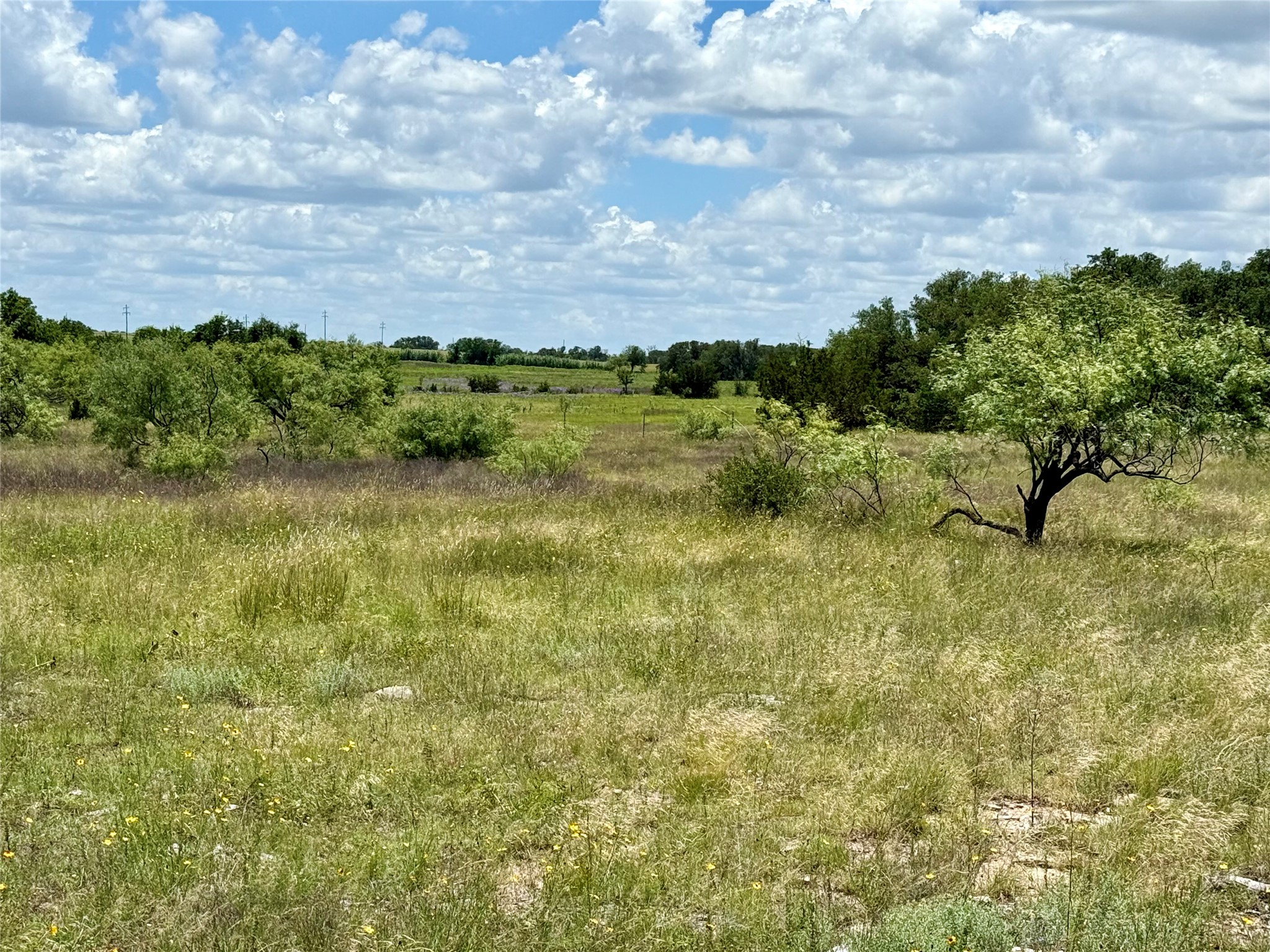 Lot 39 Pecan Valley Drive, Gustine, TX, 76455 | 20981925 | Realty Texas LLC