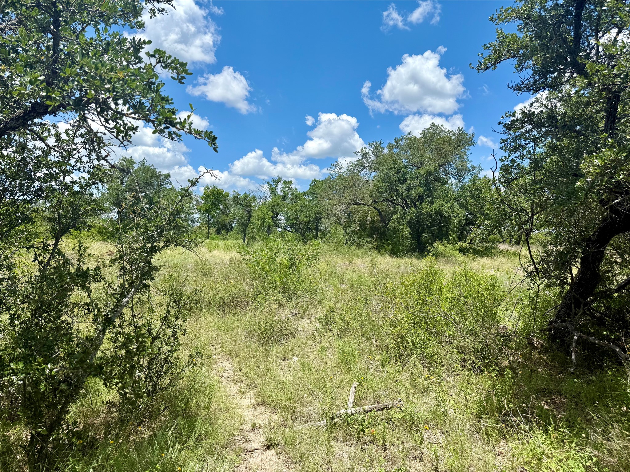 Lot 39 Pecan Valley Drive, Gustine, TX, 76455 | 20981925 | Realty Texas LLC