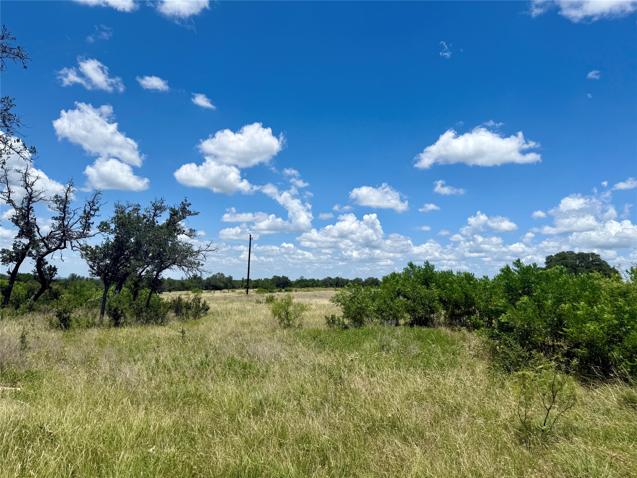 Lot 39 Pecan Valley Drive, Gustine, TX, 76455 | 20981925 | Realty Texas LLC
