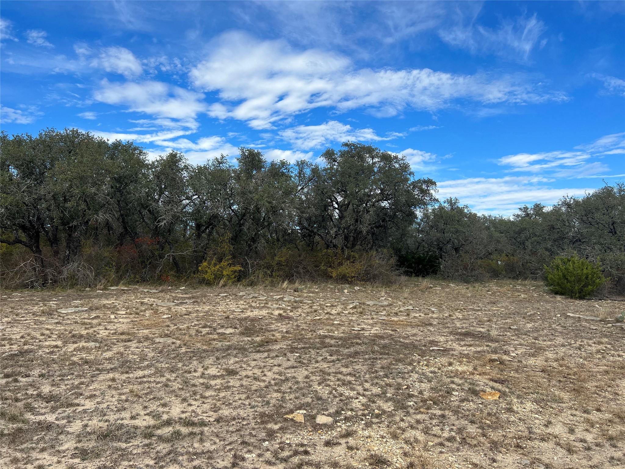 Lot 39 Pecan Valley Drive, Gustine, TX, 76455 | 20981925 | Realty Texas LLC