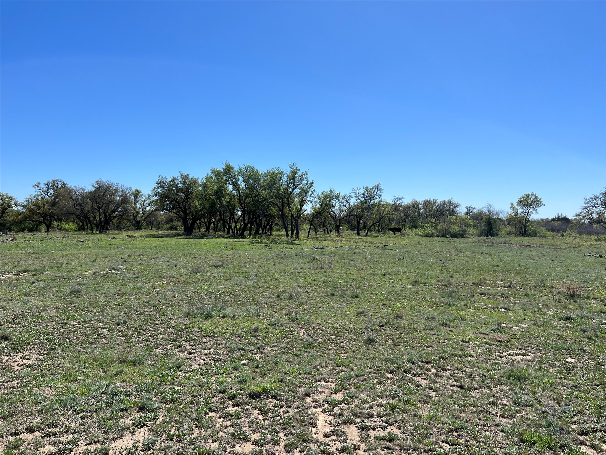 Lot 39 Pecan Valley Drive, Gustine, TX, 76455 | 20981925 | Realty Texas LLC