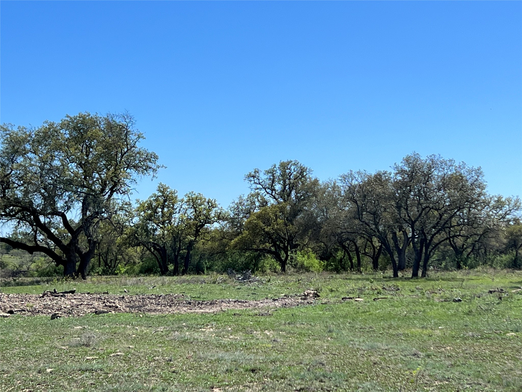 Lot 39 Pecan Valley Drive, Gustine, TX, 76455 | 20981925 | Realty Texas LLC