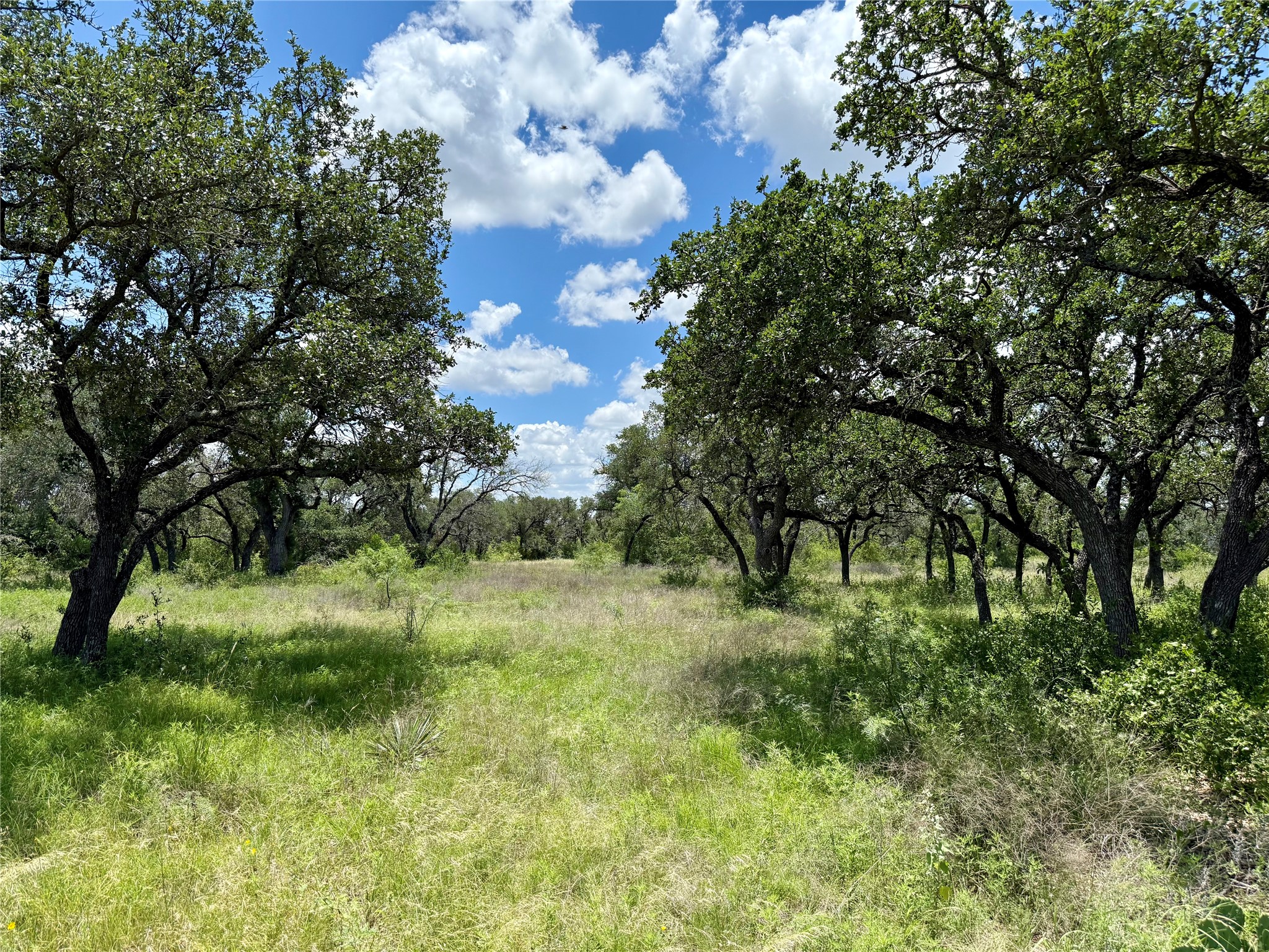 Lot 39 Pecan Valley Drive, Gustine, TX, 76455 | 20981925 | Realty Texas LLC