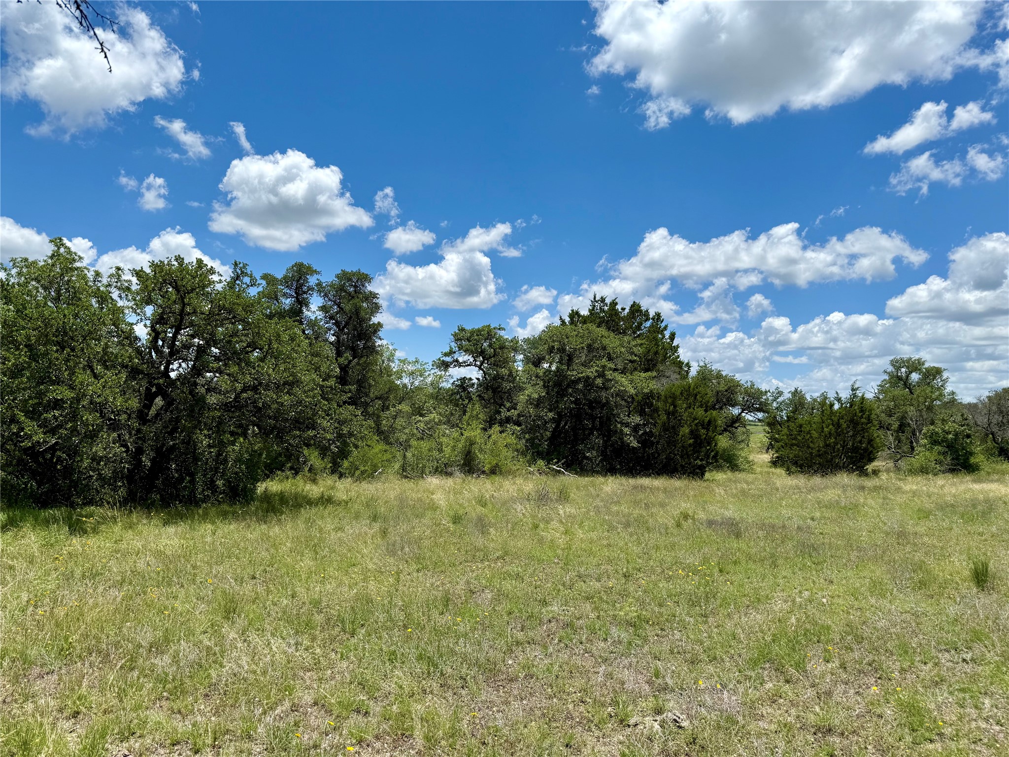 Lot 39 Pecan Valley Drive, Gustine, TX, 76455 | 20981925 | Realty Texas LLC