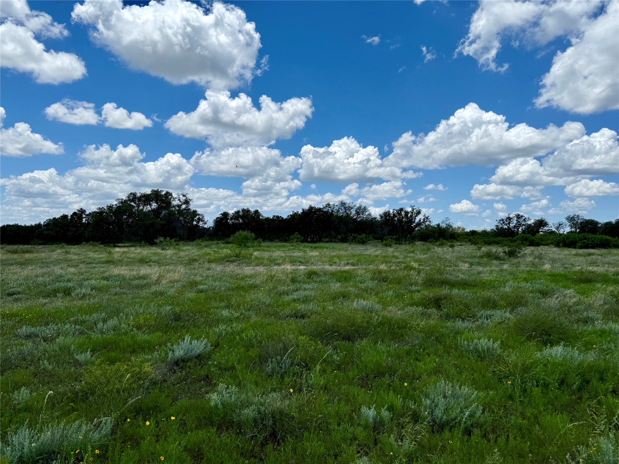 Lot 39 Pecan Valley Drive, Gustine, TX, 76455 | 20981925 | Realty Texas LLC