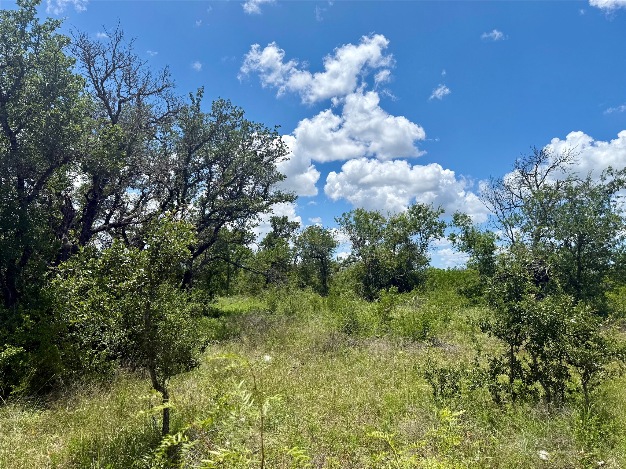 Lot 39 Pecan Valley Drive, Gustine, TX, 76455 | 20981925 | Realty Texas LLC