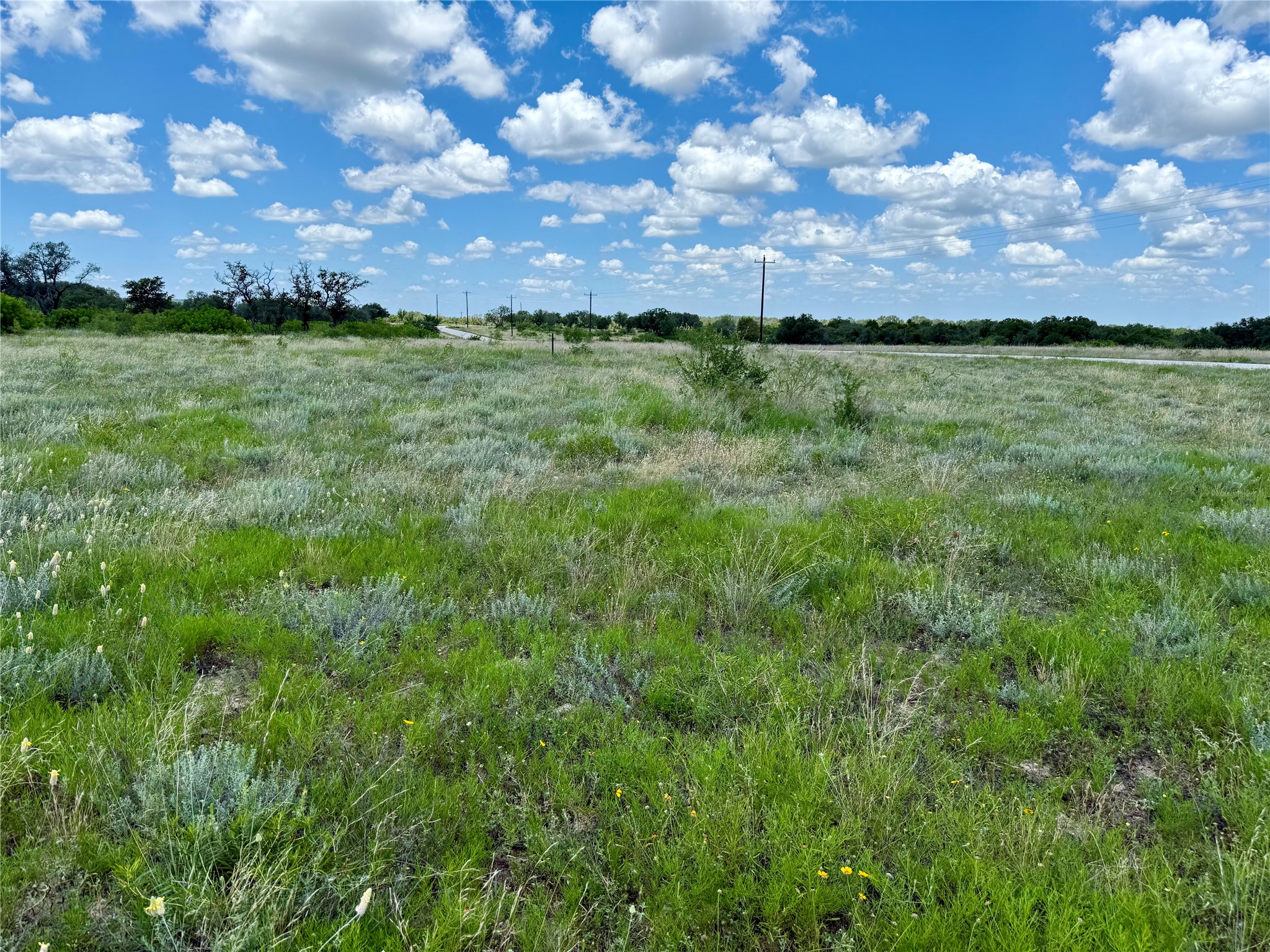 Lot 39 Pecan Valley Drive, Gustine, TX, 76455 | 20981925 | Realty Texas LLC