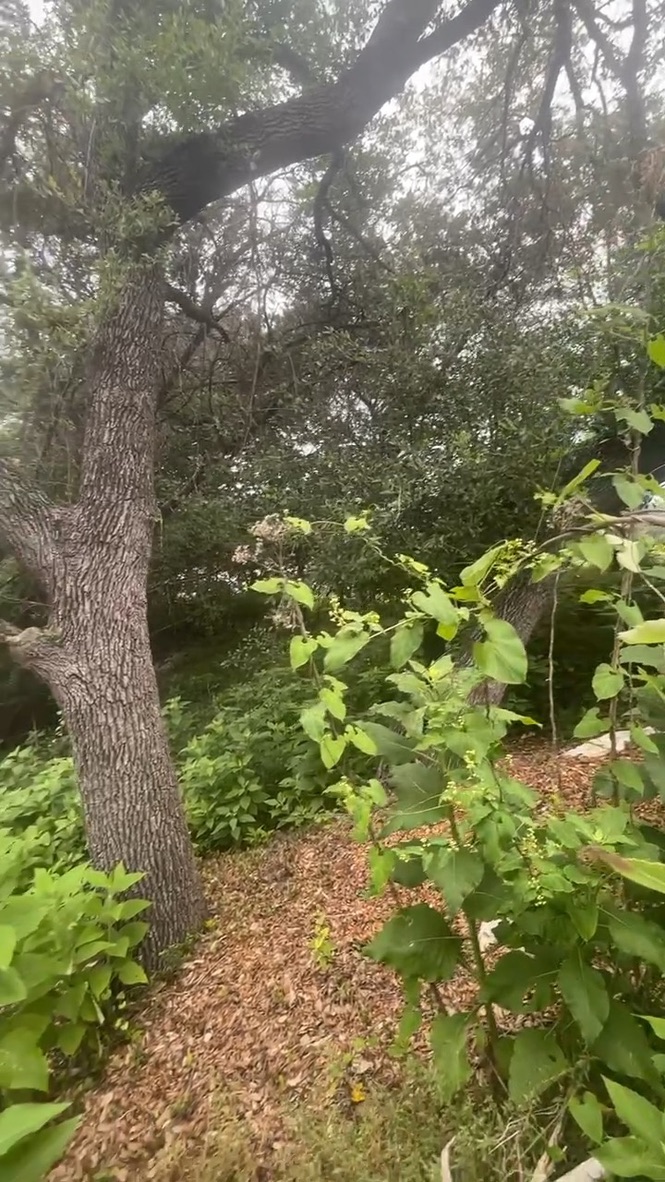 4908 Arrowhead DR, Lago Vista, TX, 78645 | 1688722 | Realty Texas LLC