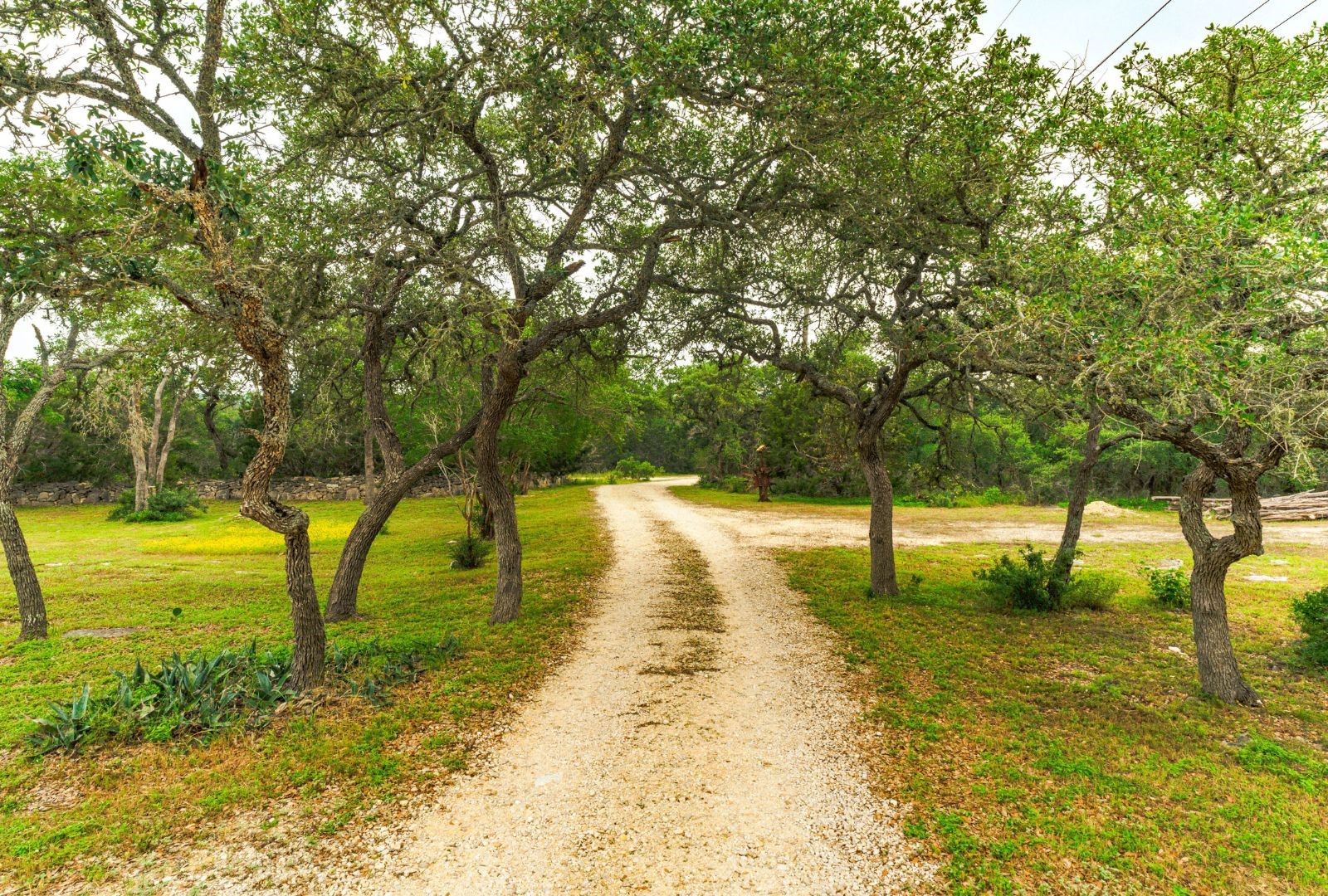 0000 Oakwood Loop, San Marcos, TX, 78666 | 20983476 | Realty Texas LLC