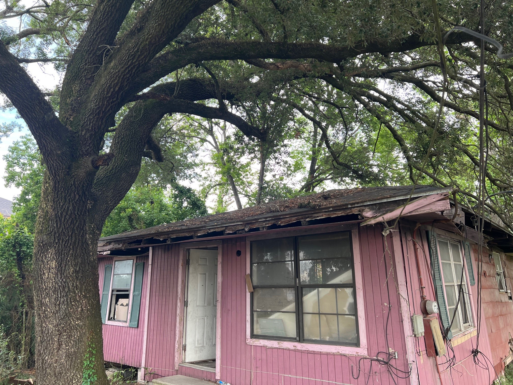 4814 Firnat Street, Houston, TX, 77016 | 13308494 | Realty Texas LLC