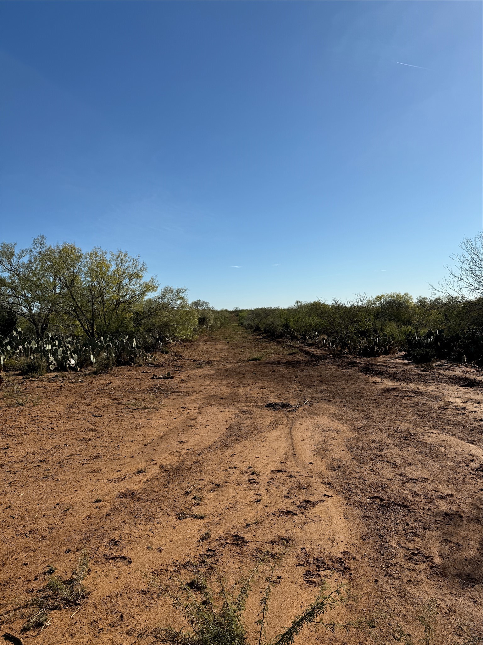 0004 County Road 300 J101, Jourdanton, TX, 78026 | 7804210 | Realty Texas LLC